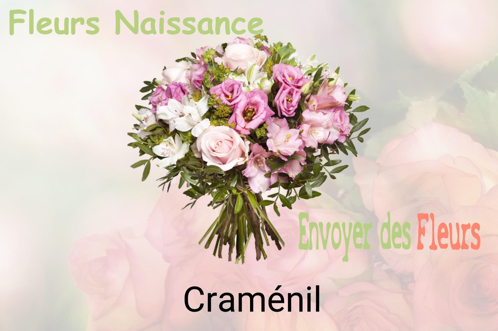 Bouquet de fleurs de naissance livré à Craménil